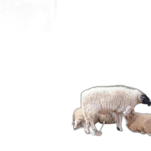 animal, creature, food, concept art transparent PNG cut-out
