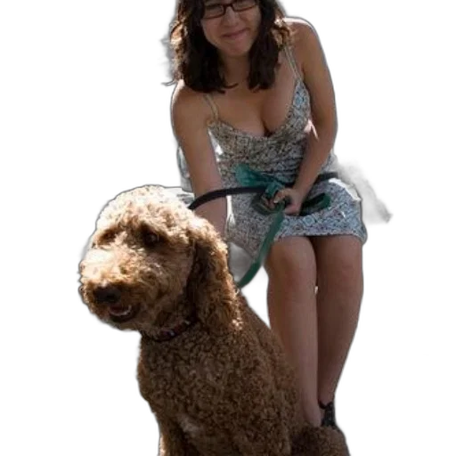dress, animal, creature, staff transparent PNG cut-out