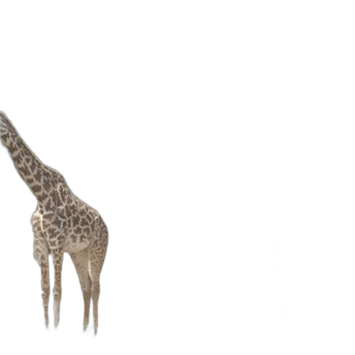 animal, creature, staff, weapon transparent PNG cut-out
