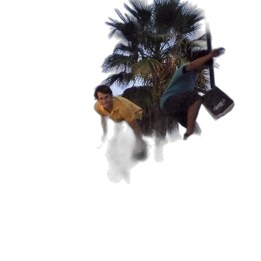 creature, animal, hair, umbrella transparent PNG cut-out