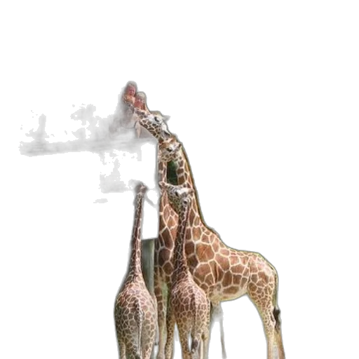 animal, creature, staff, weapon transparent PNG cut-out