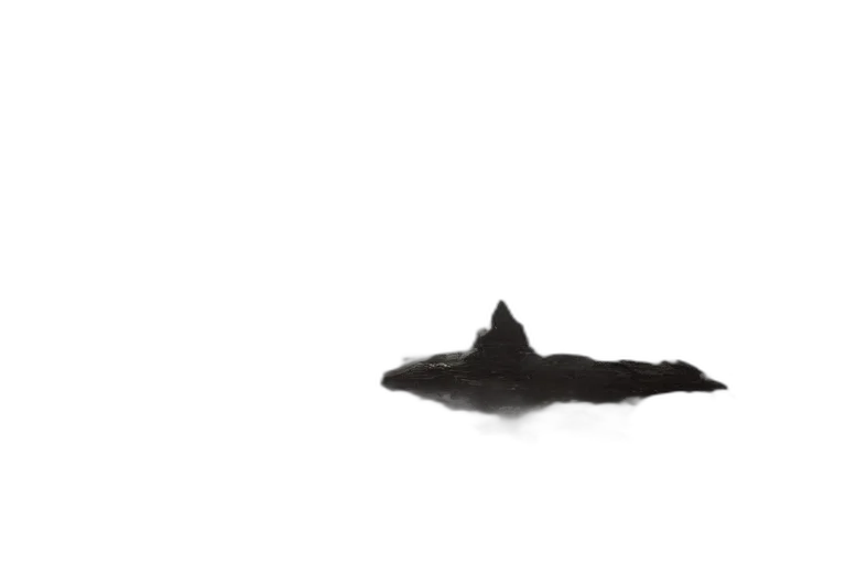 hat, hair, animal, crown transparent PNG cut-out