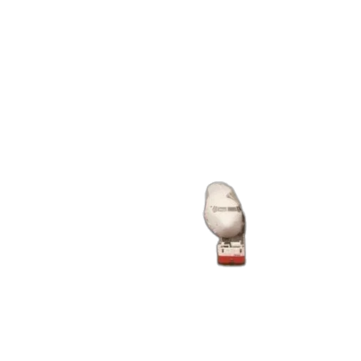 shoes, food, hat, bottle transparent PNG cut-out