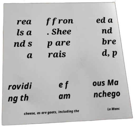 shoes, robot, face, text-based transparent PNG cut-out