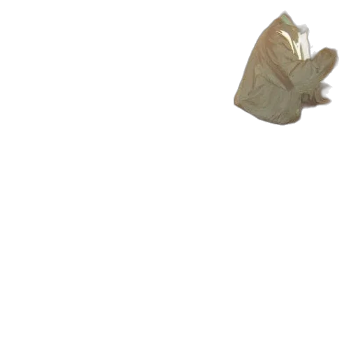 mask, hat, food, bottle transparent PNG cut-out
