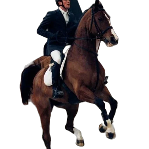 staff, animal, jacket, photorealistic transparent PNG cut-out