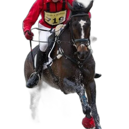 staff, animal, rider, red transparent PNG cut-out