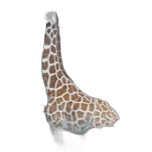 animal, shoes, hat, staff transparent PNG cut-out