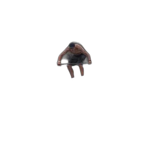 creature, animal, hair, face transparent PNG cut-out