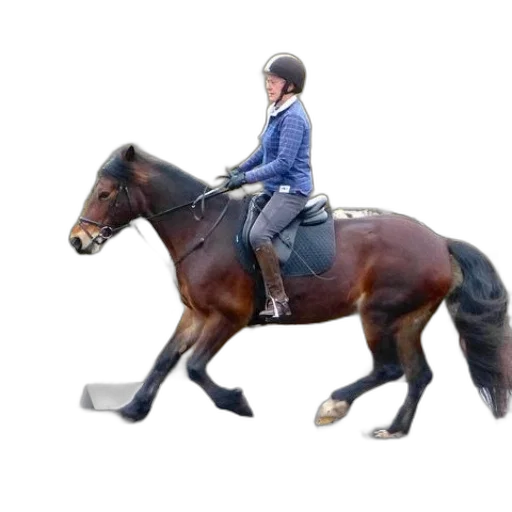 jacket, person, riding, brown transparent PNG cut-out