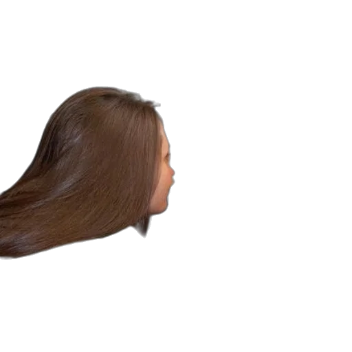 hair, face, crown, creature transparent PNG cut-out