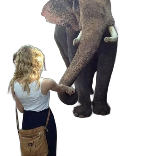 animal, umbrella, creature, staff transparent PNG cut-out