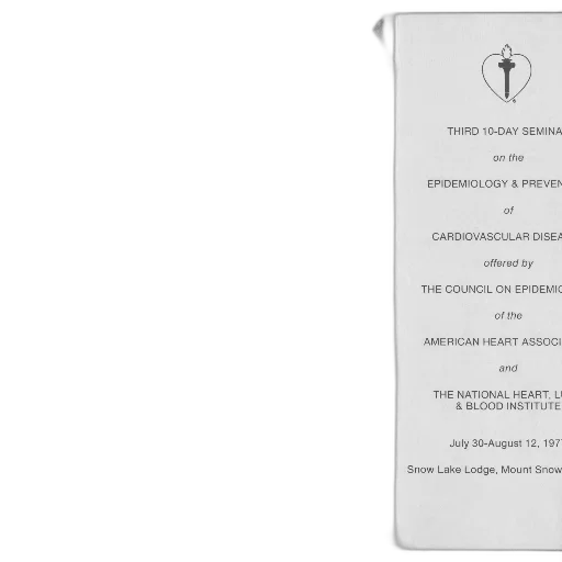 black, white, flyer, third transparent PNG cut-out
