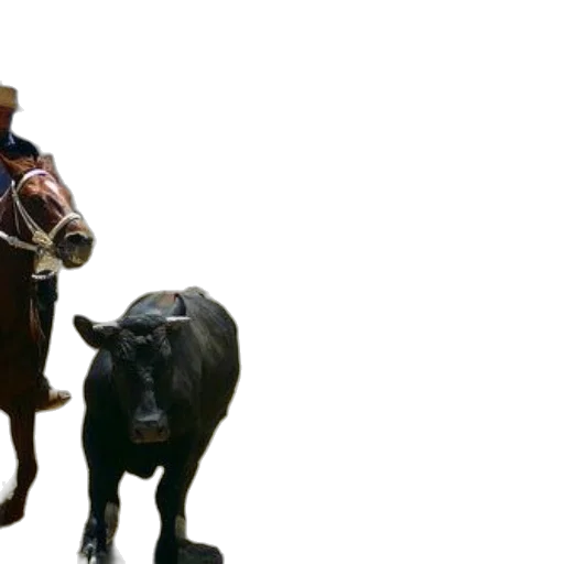 animal, hat, 3d render, concept art transparent PNG cut-out