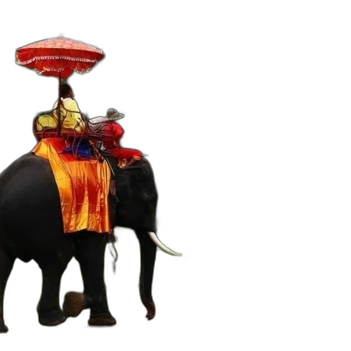 umbrella, staff, hat, animal transparent PNG cut-out