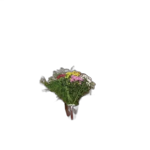flower, jewelry, crown, hat transparent PNG cut-out