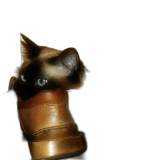 shoes, staff, hat, animal transparent PNG cut-out