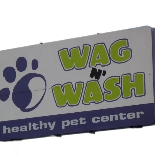 3d render, sign, wag, wash transparent PNG cut-out