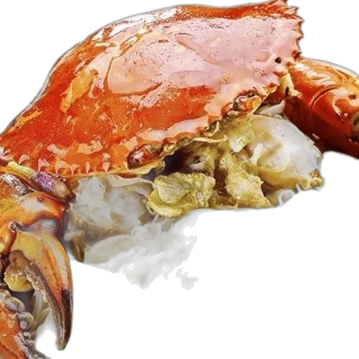 food, crown, animal, creature transparent PNG cut-out
