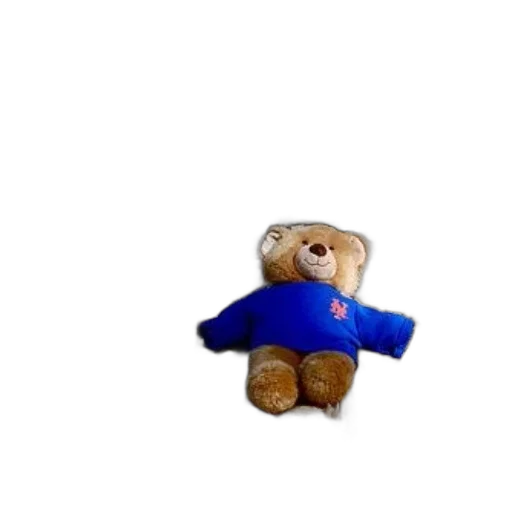 jacket, staff, animal, teddy transparent PNG cut-out