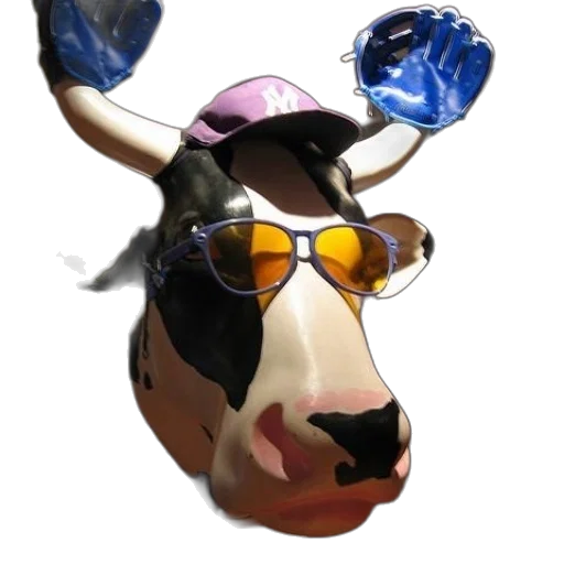 animal, hat, mask, face transparent PNG cut-out