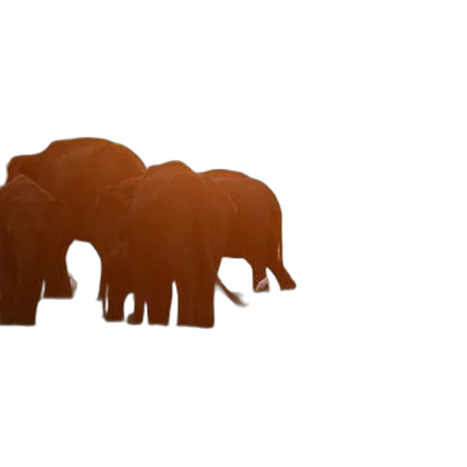 animal, creature, 3d render, concept art transparent PNG cut-out