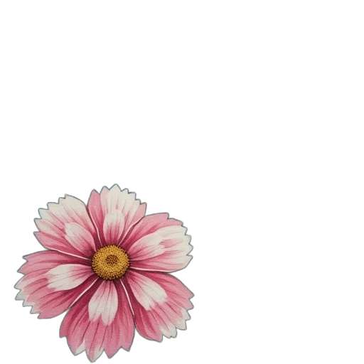 flower, jewelry, crown, staff transparent PNG cut-out