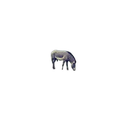 animal, creature, dragon, hat transparent PNG cut-out