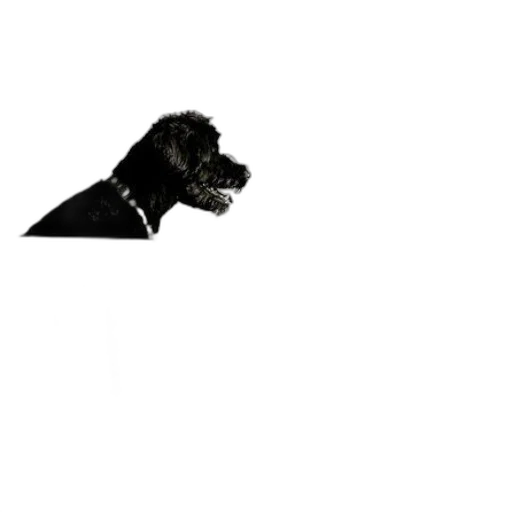animal, staff, creature, face transparent PNG cut-out