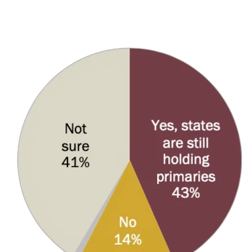 pie, chart, showing, opinions transparent PNG cut-out