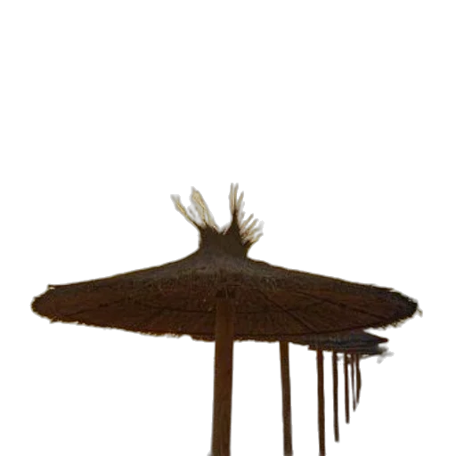 hat, umbrella, crown, staff transparent PNG cut-out