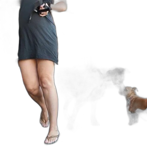 dress, shoes, staff, mask transparent PNG cut-out