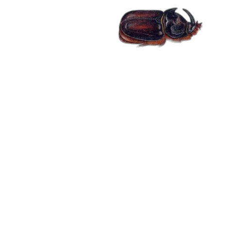 animal, bottle, creature, robot transparent PNG cut-out