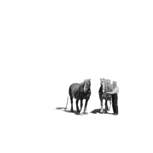 animal, creature, furniture, shoes transparent PNG cut-out