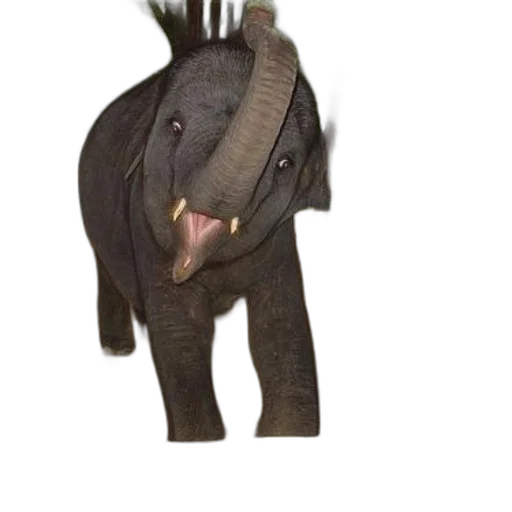 animal, creature, staff, dragon transparent PNG cut-out