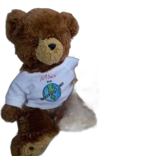 staff, stuffed, bear, wearing transparent PNG cut-out