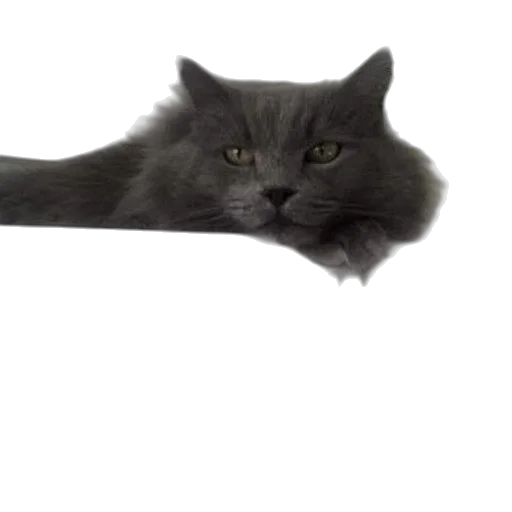 animal, staff, creature, sword transparent PNG cut-out