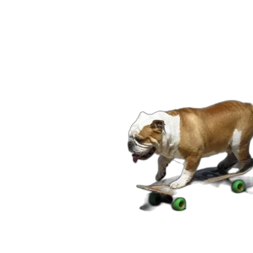 animal, creature, car, 3d render transparent PNG cut-out