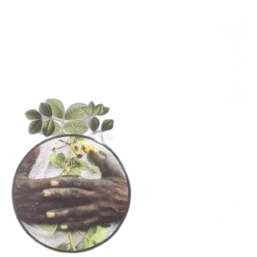 jewelry, crown, food, bottle transparent PNG cut-out