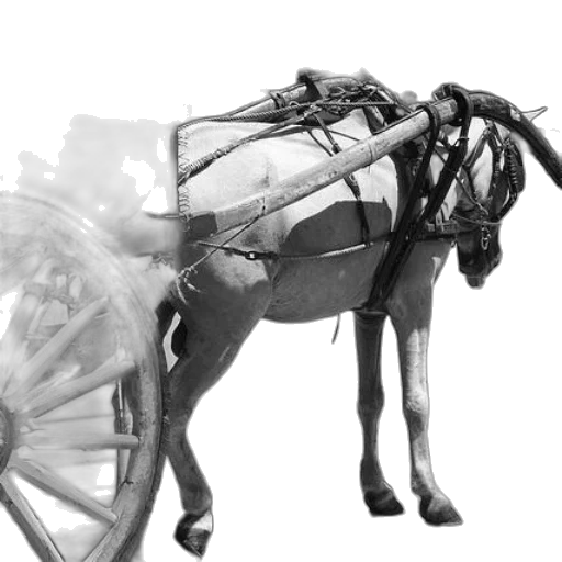 animal, weapon, staff, car transparent PNG cut-out