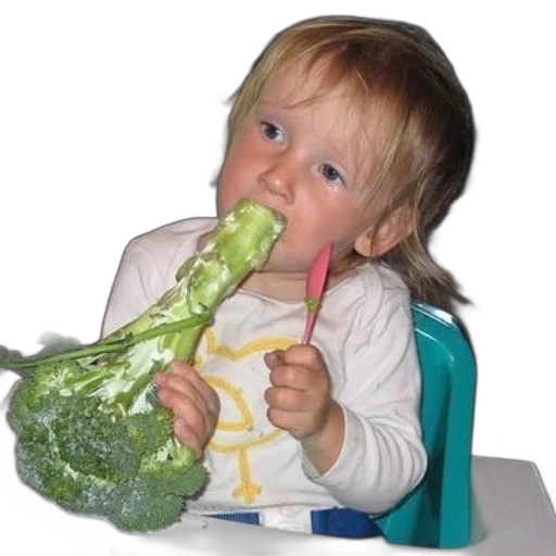 food, weapon, creature, face transparent PNG cut-out