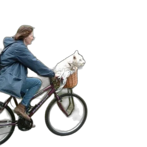 jacket, concept art, city street, woman transparent PNG cut-out