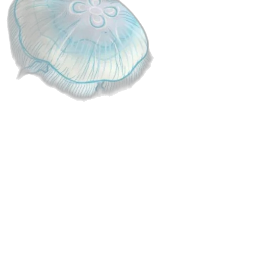 flower, creature, hair, hat transparent PNG cut-out