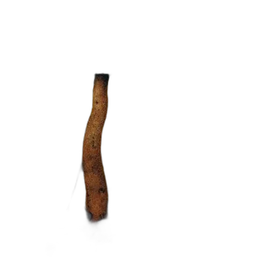 staff, weapon, sword, hair transparent PNG cut-out