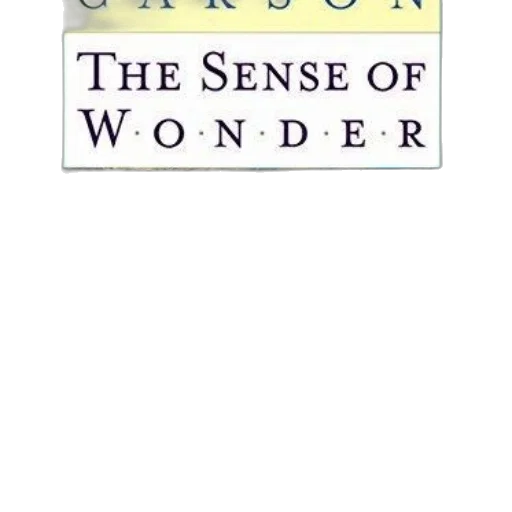 outer space, sense, wonder, book transparent PNG cut-out