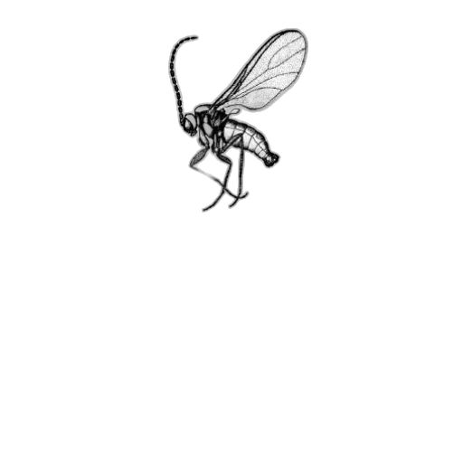 creature, animal, robot, dragon transparent PNG cut-out