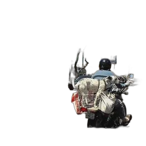 robot, weapon, car, animal transparent PNG cut-out