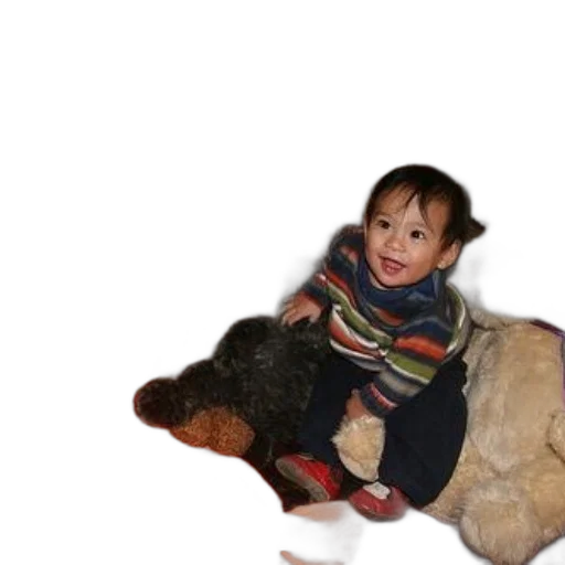 animal, creature, weapon, jacket transparent PNG cut-out
