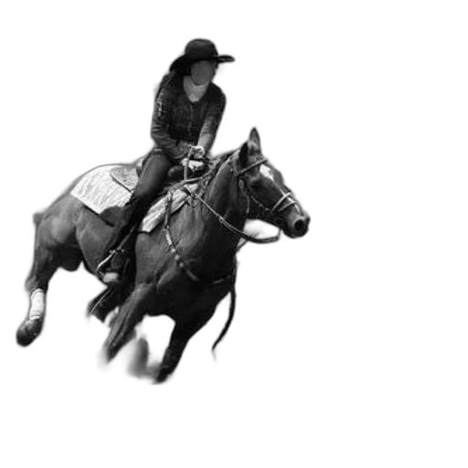 animal, hat, staff, photorealistic transparent PNG cut-out
