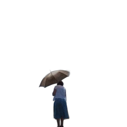 umbrella, dress, jacket, hat transparent PNG cut-out